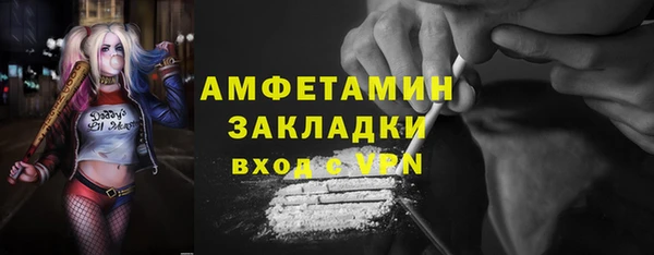 прущие грибы Бронницы