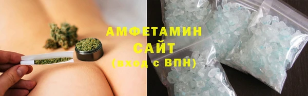 прущие грибы Бронницы