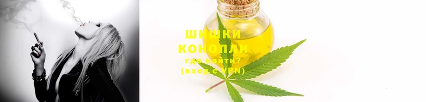 прущие грибы Бронницы