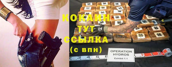 прущие грибы Бронницы
