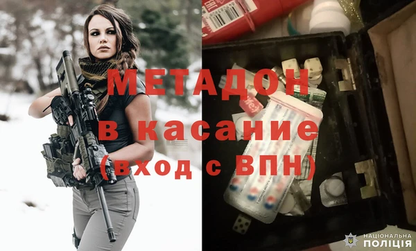 прущие грибы Бронницы