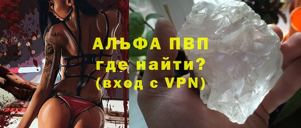 прущие грибы Бронницы