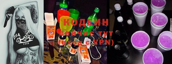 прущие грибы Бронницы