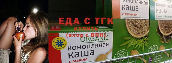 прущие грибы Бронницы